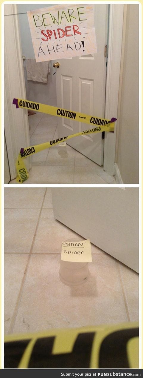 how some people handle spiders