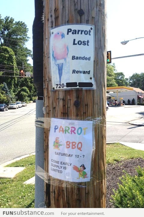 Lost Parrot