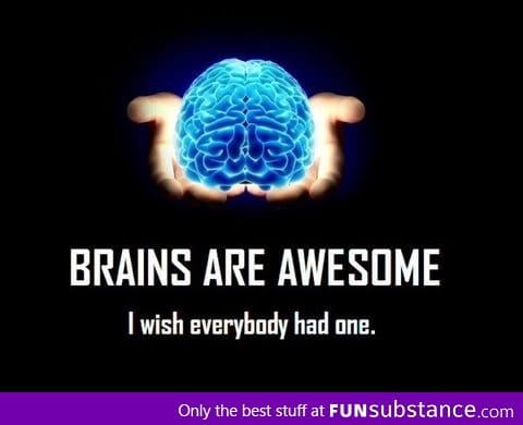 Brains are awesome