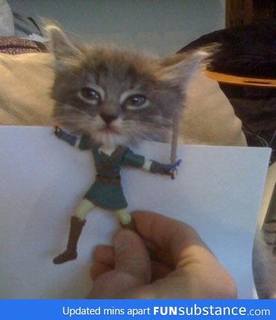 Kitty Link