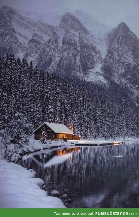 What a beauty!