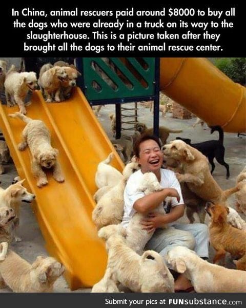 Faith in humanity restored.