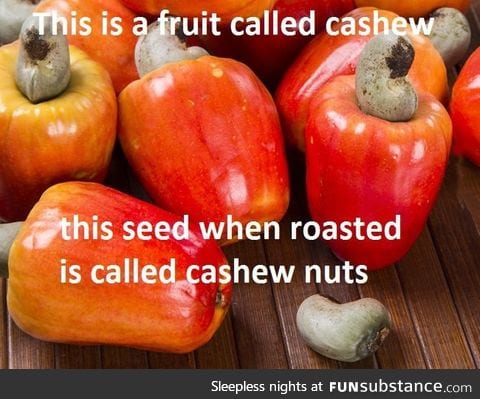Cashew and cashew nuts