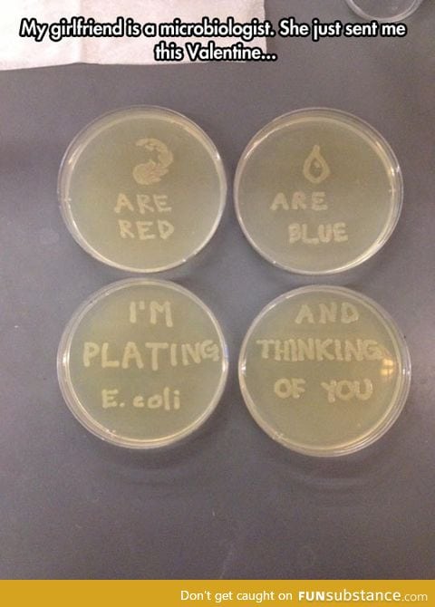 Microbiologist expressing her love