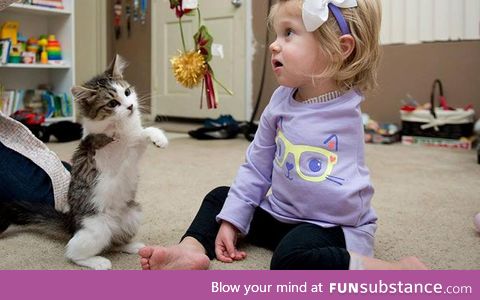 A girl who lost arm to cancer receives three-legged kitten for Christmas