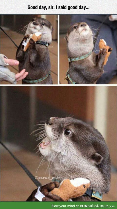 You may not take away my stuffed animal