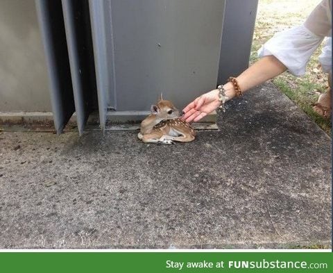 Why you are so small!!!!