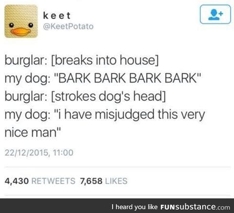 This is what my dog would be like