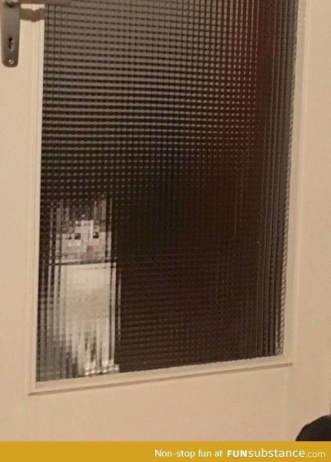Pixel cat