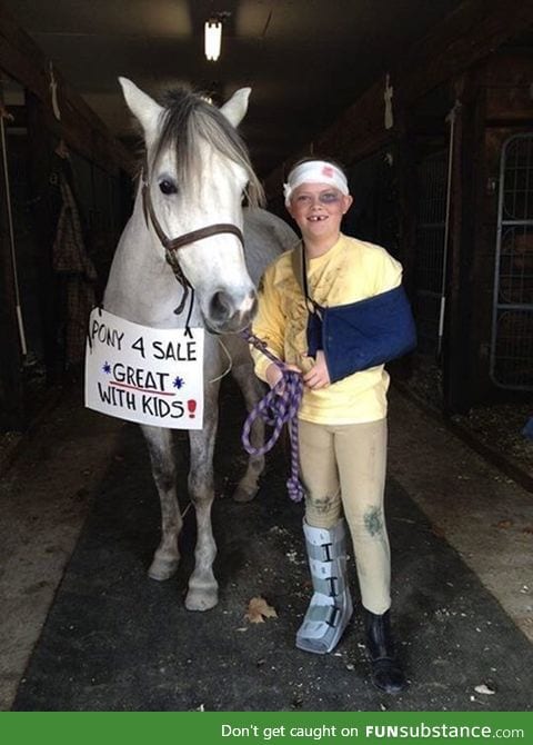 Need to sell pony fast, great deal