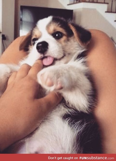 AWWW this is too cute