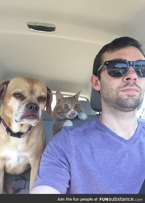 Road trip