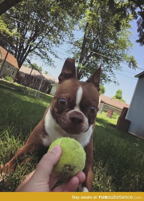 Throw it throw it throw it