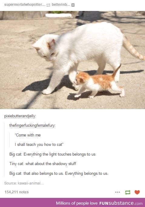 The Cat King