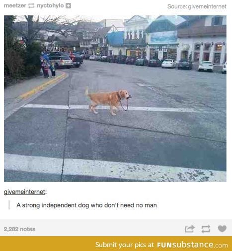 Independent doggie
