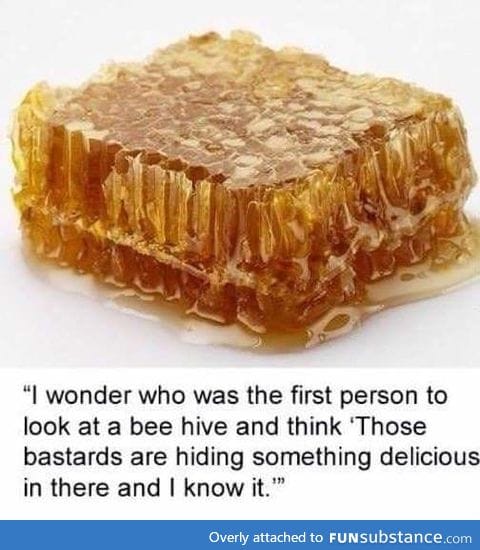 They must have been crazy