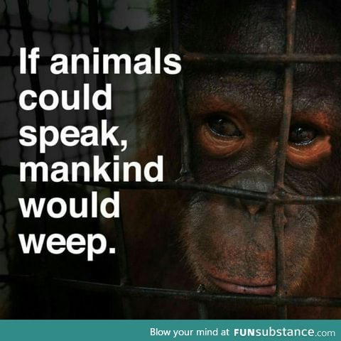 I wonder what they would say?