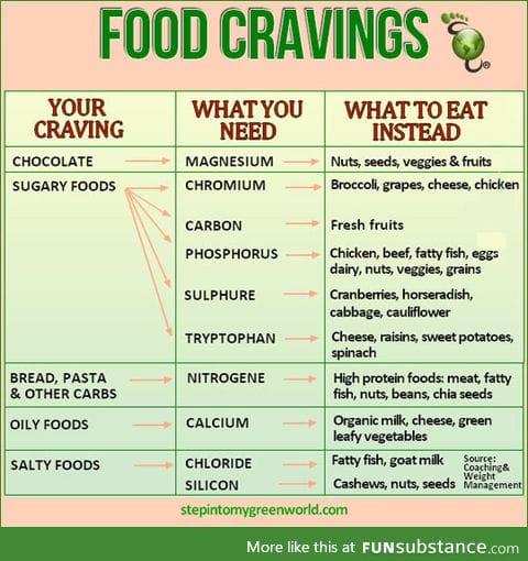 Understanding food cravings