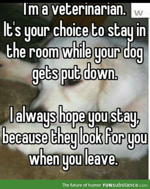 Stay in the room