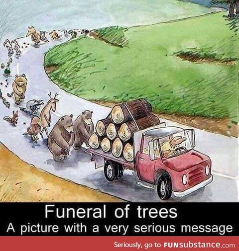 No words