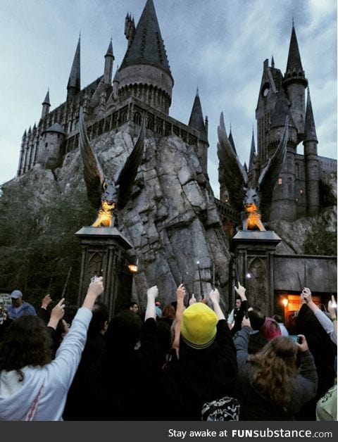 HP fans pay tribute to Alan Rickman at Universal Studios