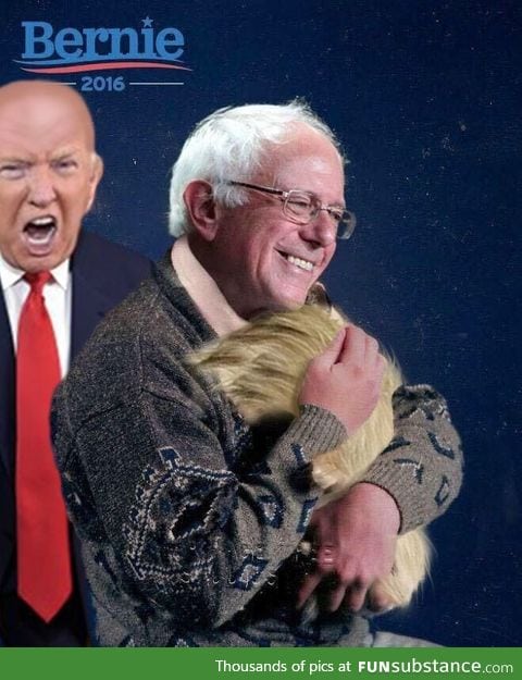 Trump's hair found a less abusive owner