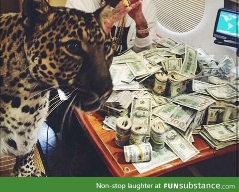 "Where do you want to be in your life in 10 years?"