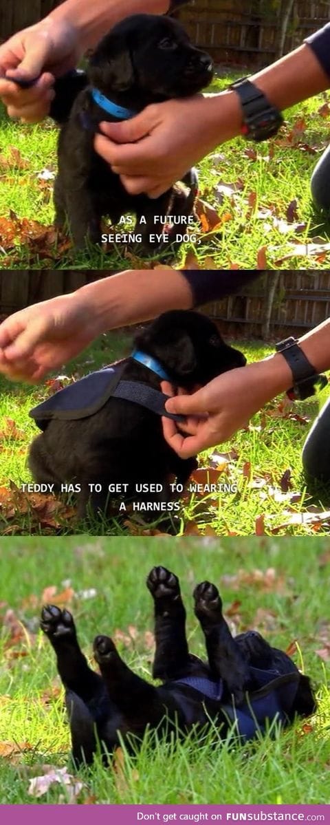Hang in there, Teddy