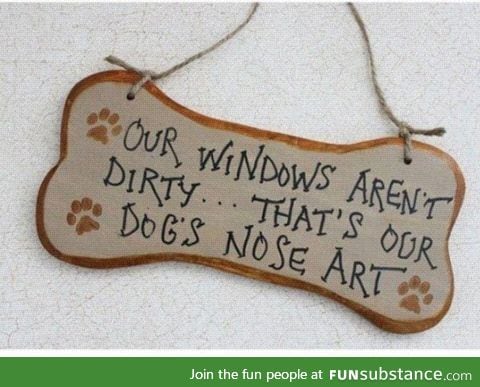 My dog leaves nose art on every damn window