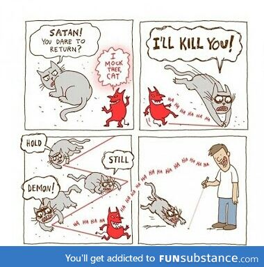 How cats see it