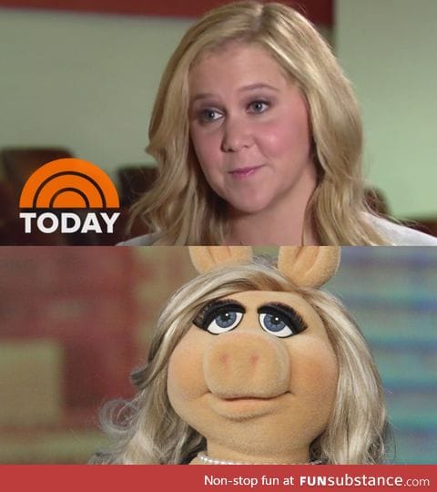 Amy Schumer stolen face evidence