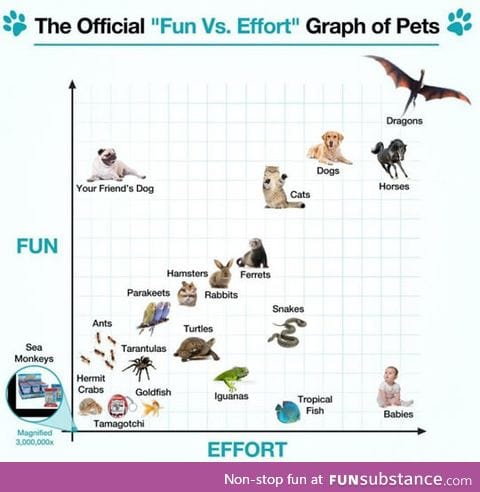 Fun vs. Effort
