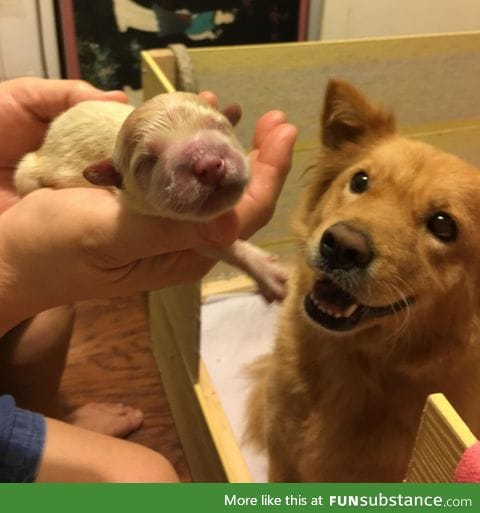 Proud parent