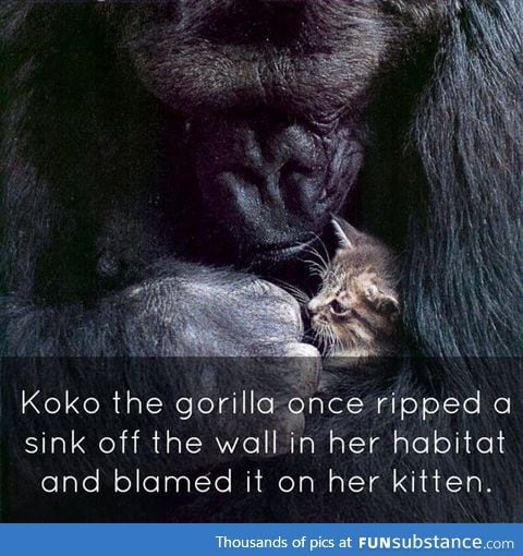 So, just like siblings.