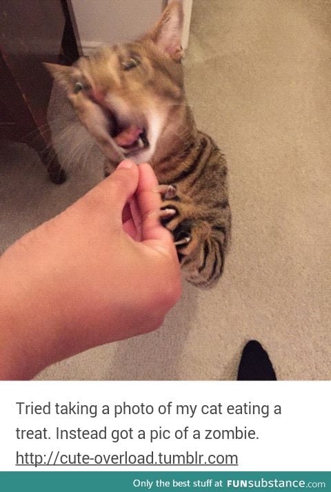Rawr