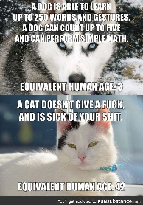 Cats vs. Dogs