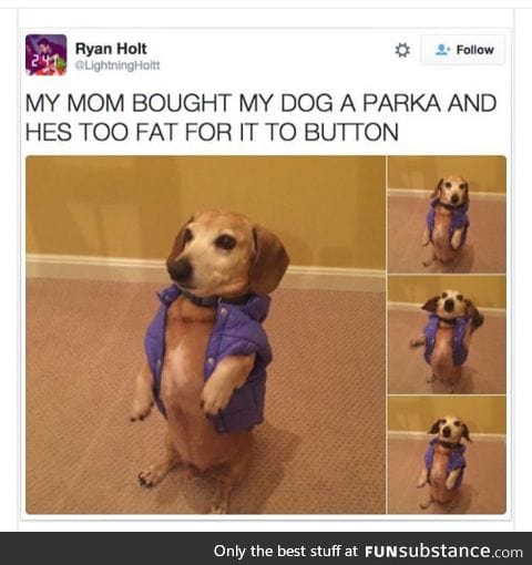 HE'S SO FAT AND CUTE