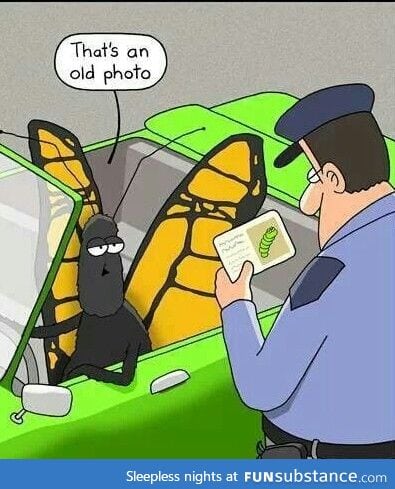 Getting pulled over