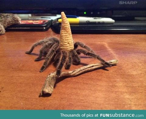 You shall not pass