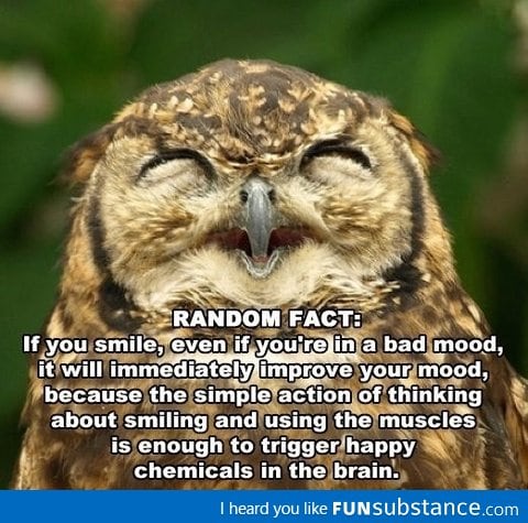 Random fact about smiling