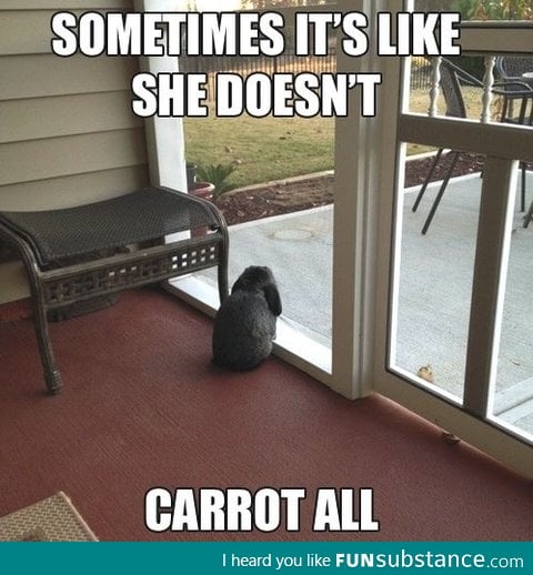 Emo bunny