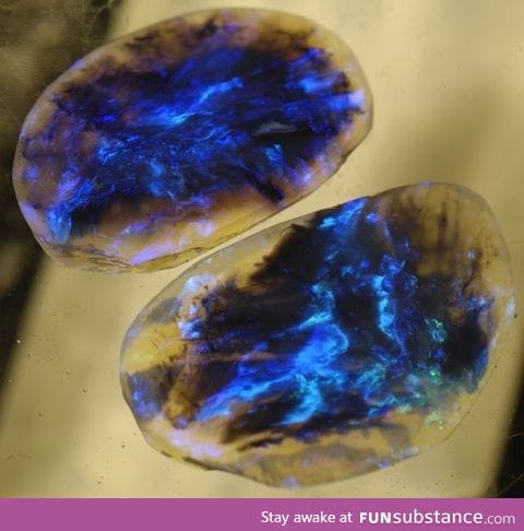 Lightning ridge black opal