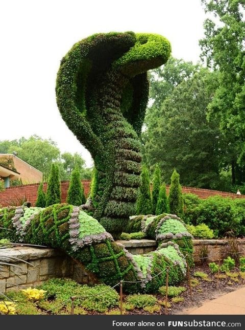 Cobra topiary