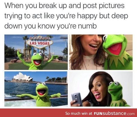Poor Kermit