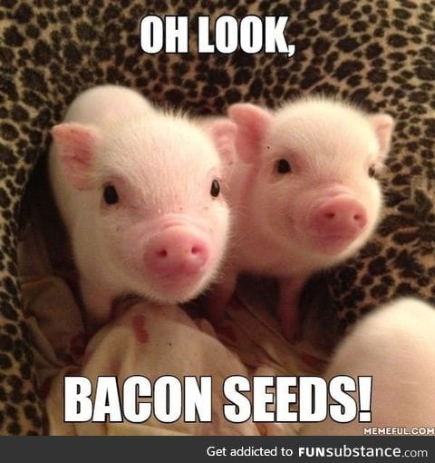 So adorable!