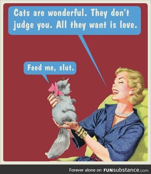 For all you lonely single ladies out there