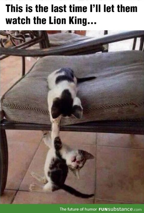 No more lion king for them