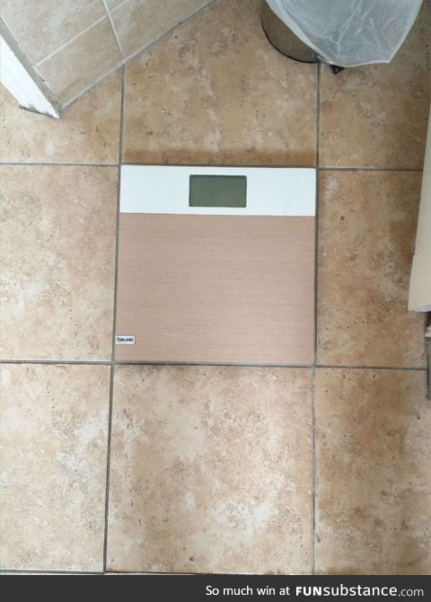 Bathroom scale fits the tile perfectly