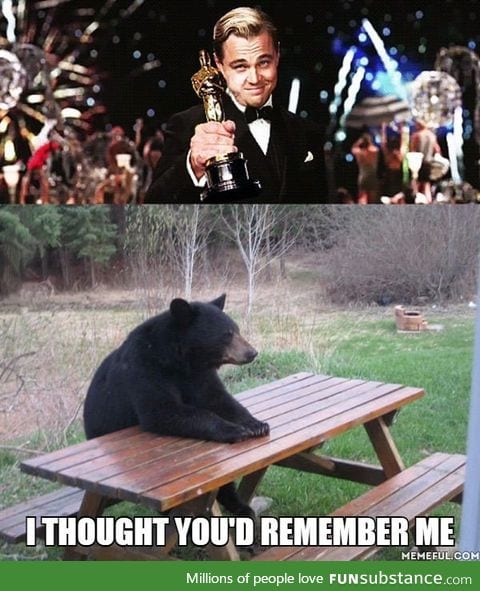 Leo forgot to thank the bear... Again!