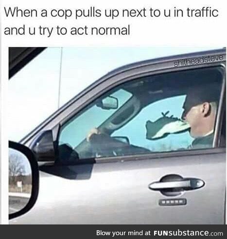 Oh shit it's the cops. Must act normal